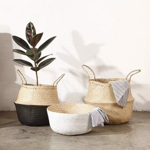 Seagrass Plant Basket Natural Décor for Modern Green Living